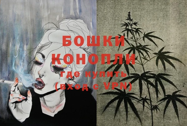 соль ск Сосновка