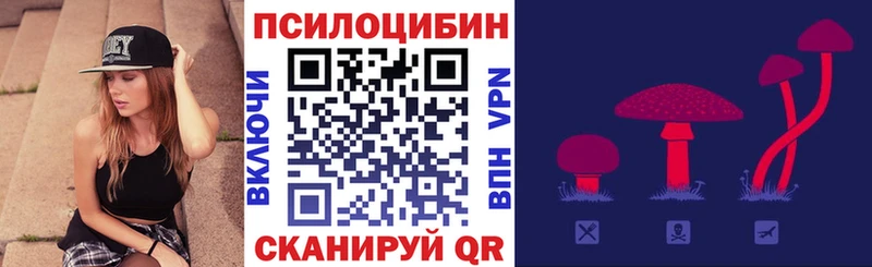 Псилоцибиновые грибы ЛСД МЕГА онион Карачаевск купить закладку
