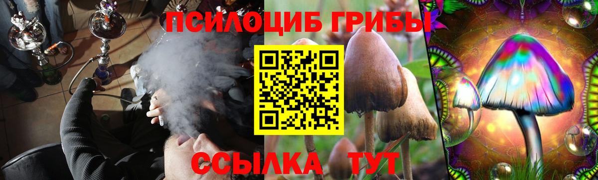 Галлюциногенные грибы прущие грибы Карачаевск