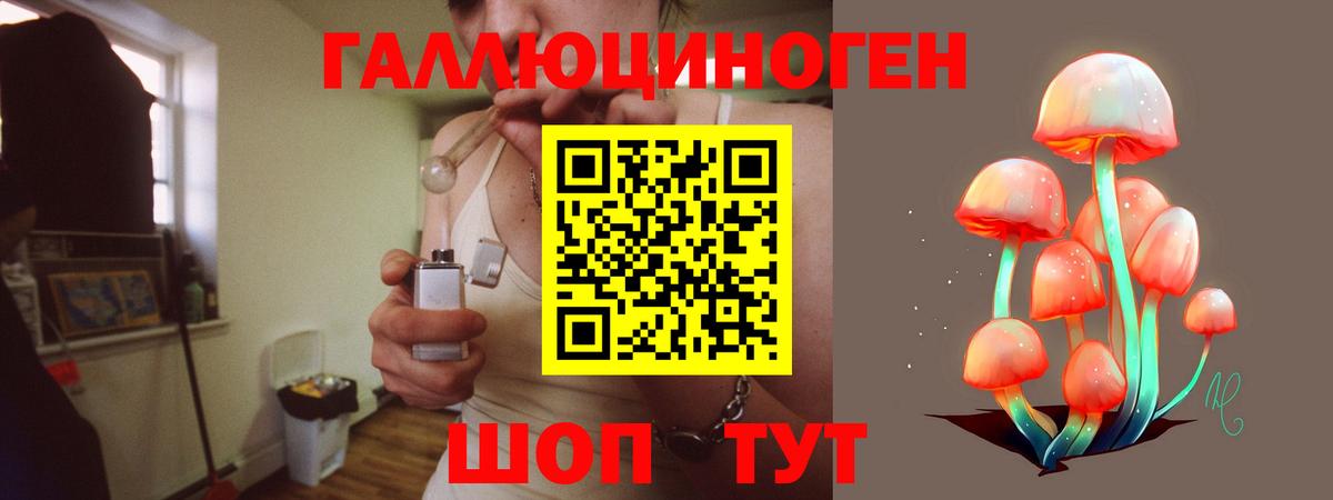 Карачаевск  Псилоцибиновые грибы Cubensis  Галлюциногенные грибы Magic Shrooms  Вход с VPN 